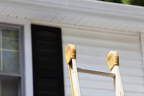 Best Custom Trim and Detailing for Siding  in Atlanta, IL